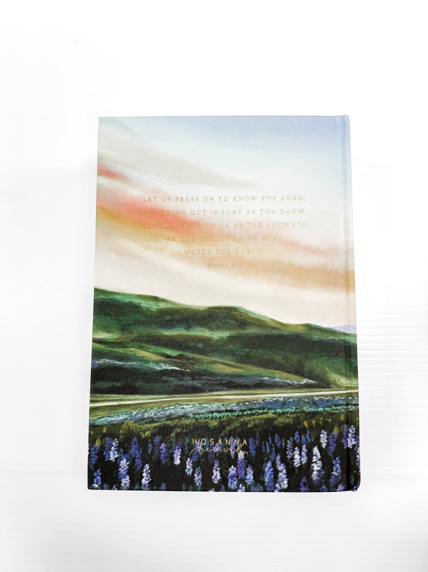 Large Print Painted Study Bible : ESV (Iceland)