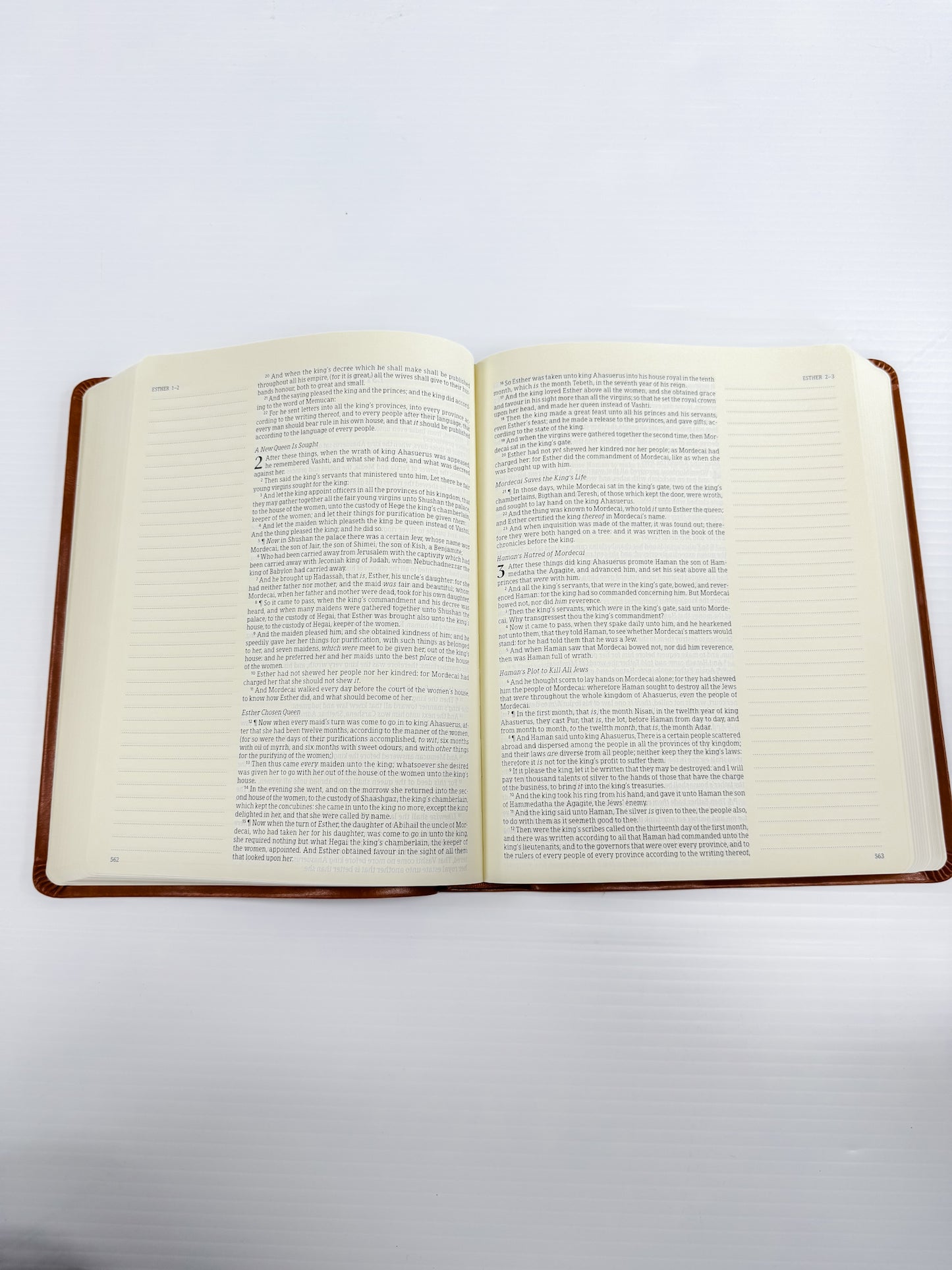 Large Print Leather Journaling Bible : ESV
