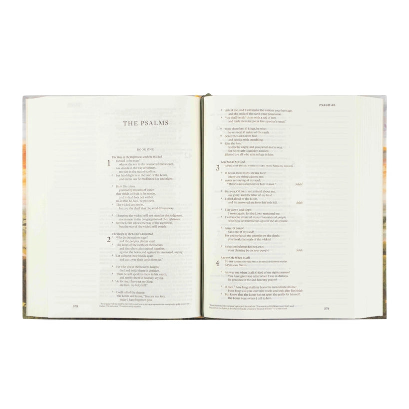 Esv Journaling Bible: Florence Theme