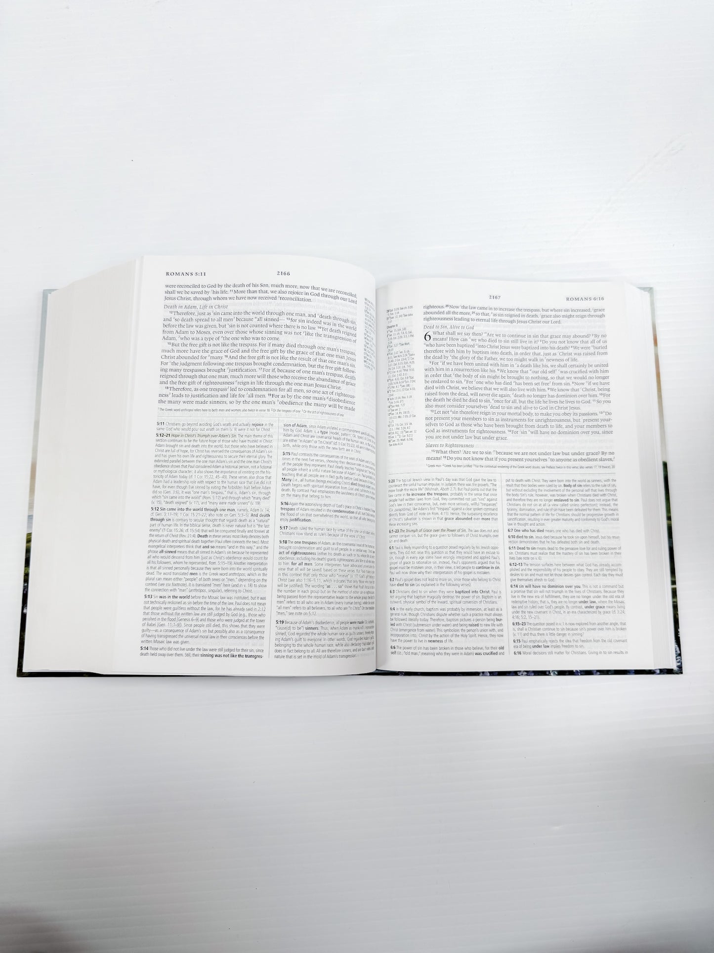 Large Print Painted Study Bible : ESV (Iceland)
