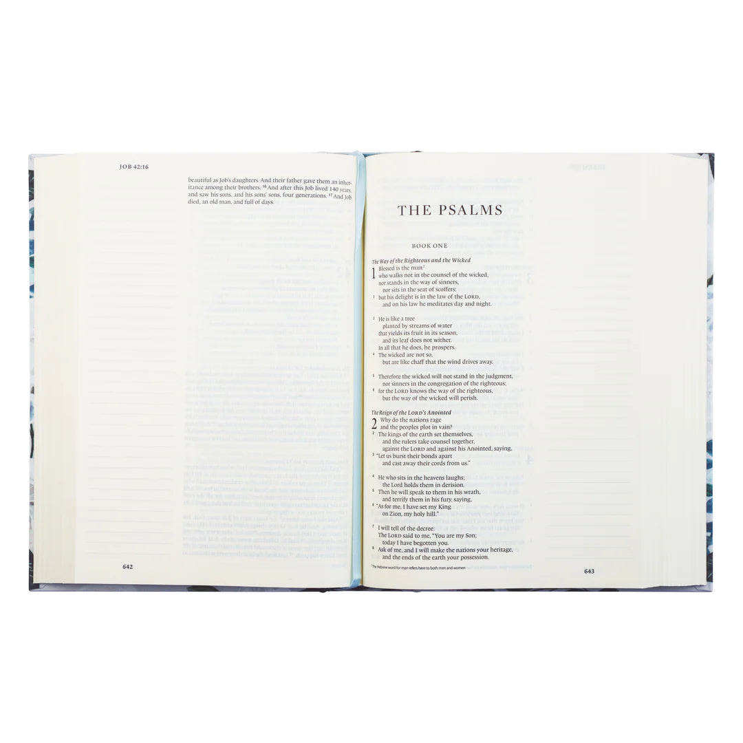 ESV Large Print Journaling Bible : VICTORIA