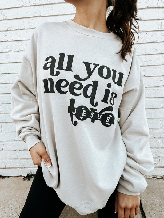 All You Need is Jesus Sweatshirt