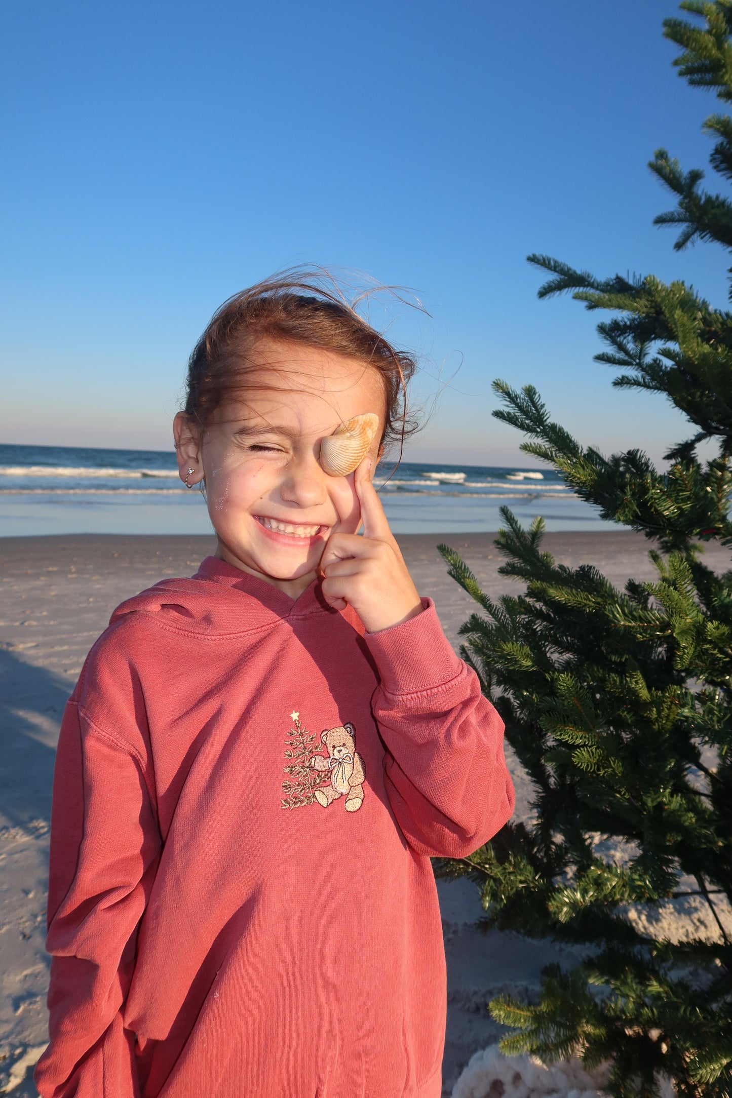 Embroidered Christmas Teddy Hoodie (Youth)