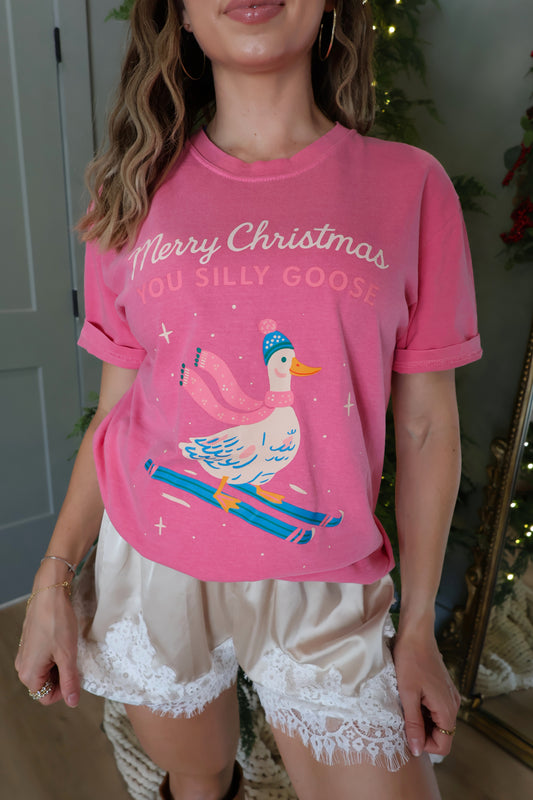 Merry Christmas Silly Goose Tee