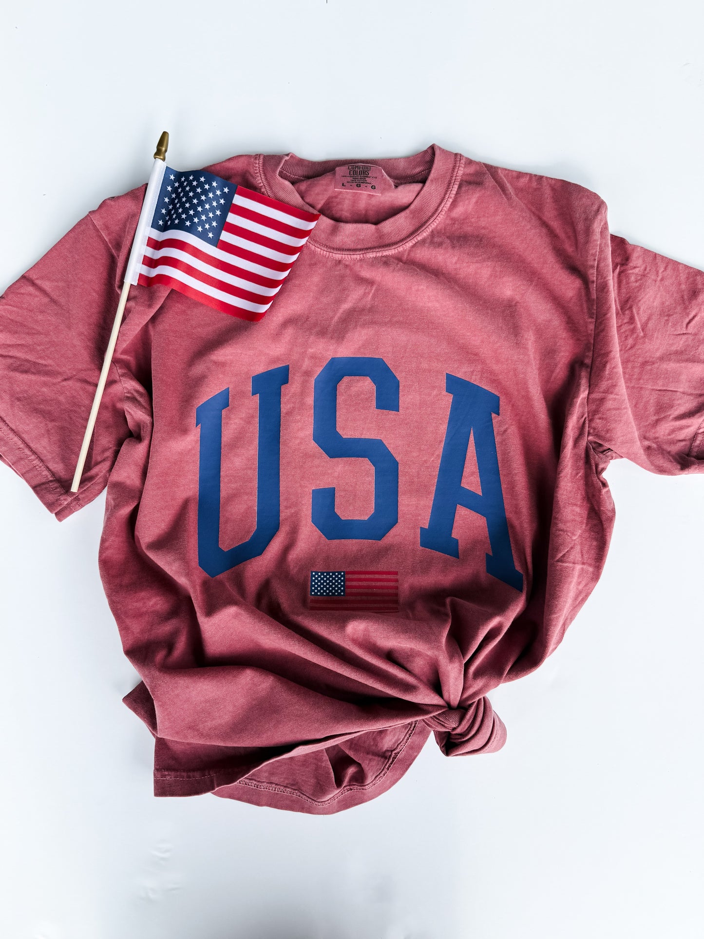 USA with Flag Brick Tee