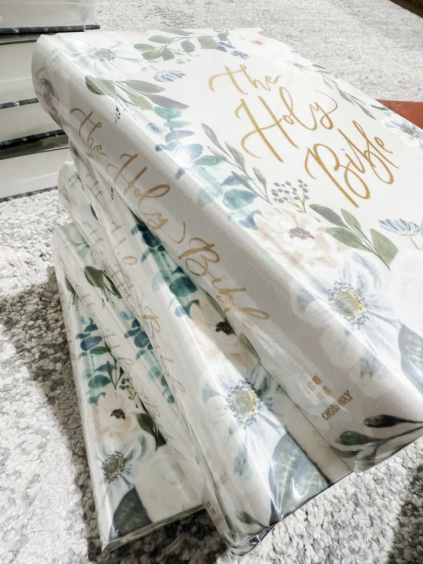 ESV Large Print Journaling Bible : VICTORIA