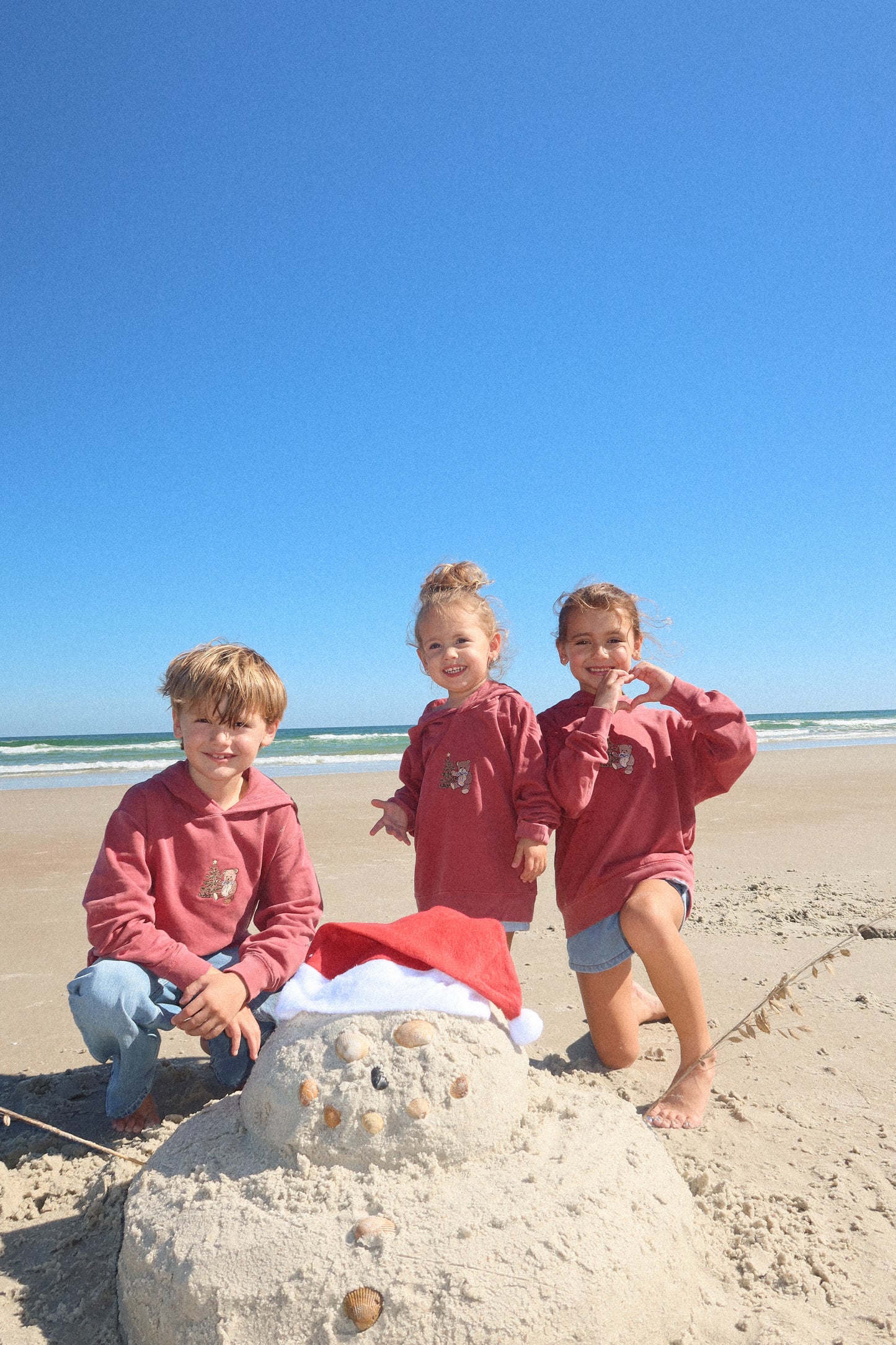 Embroidered Christmas Teddy Hoodie (Youth)