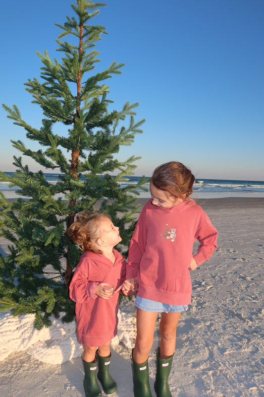 Embroidered Christmas Teddy Hoodie (Youth)