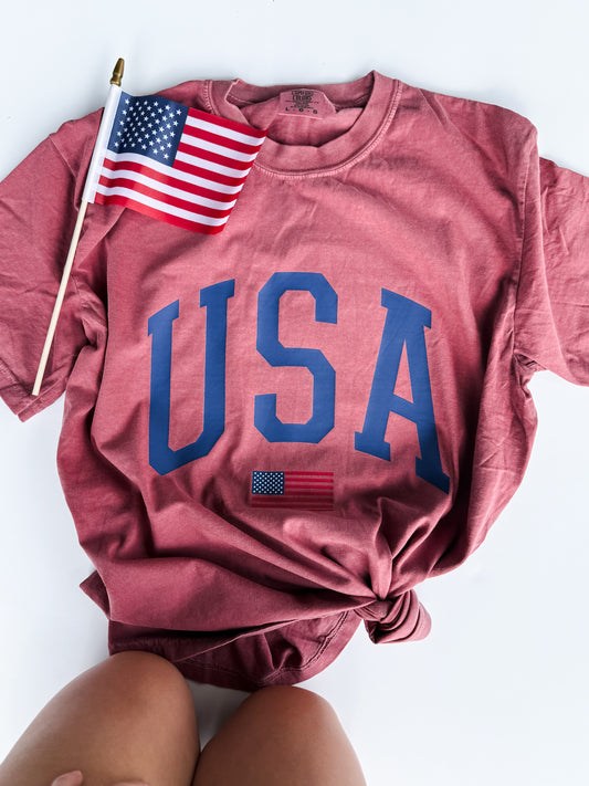 USA with Flag Brick Tee