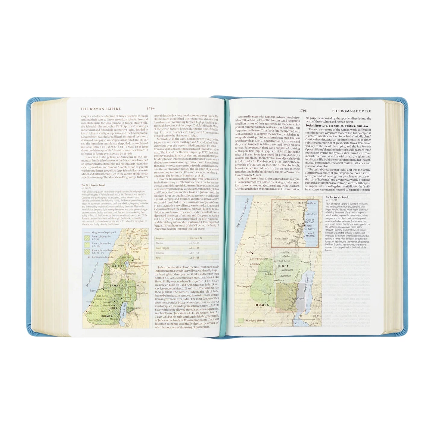 Large Print Study Bible : ESV : Butterfly Theme
